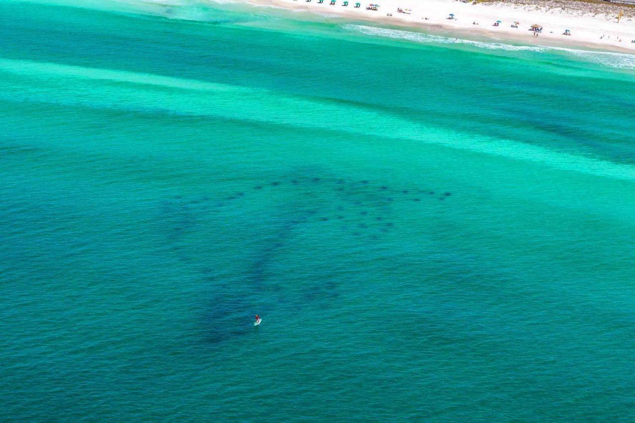 Another Day In Paradise Destin Buitenkant foto